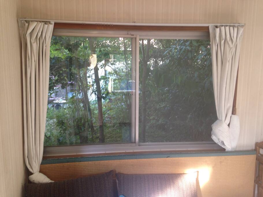 Picture of the room