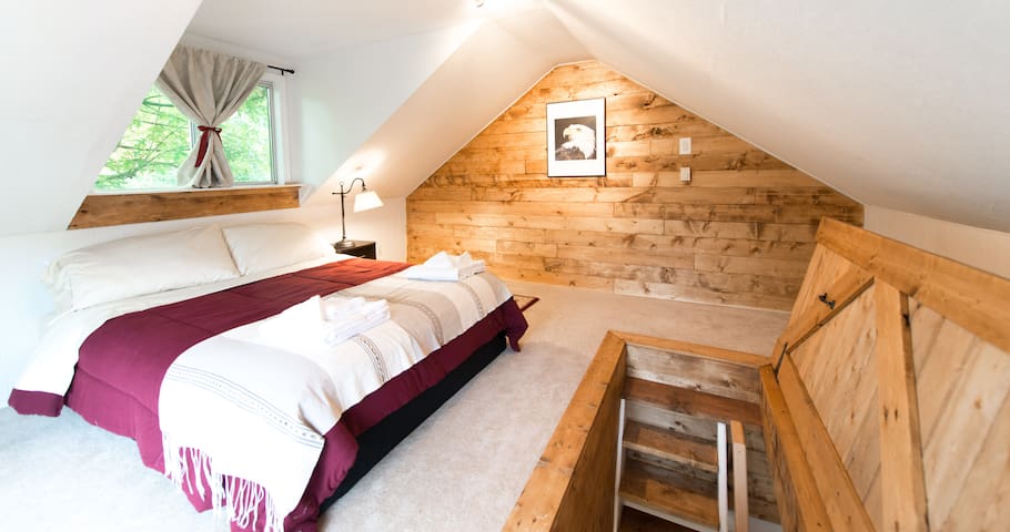 Sidney Bird House Guest Suite