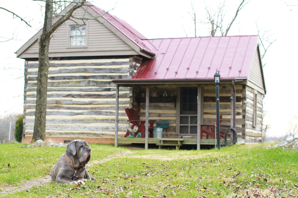 A restored log cabin features a red metal roof and wooden exterior, framed by trees and a grassy area. A dog lies comfortably on the ground in front of the porch, which is adorned with red chairs and a lantern.