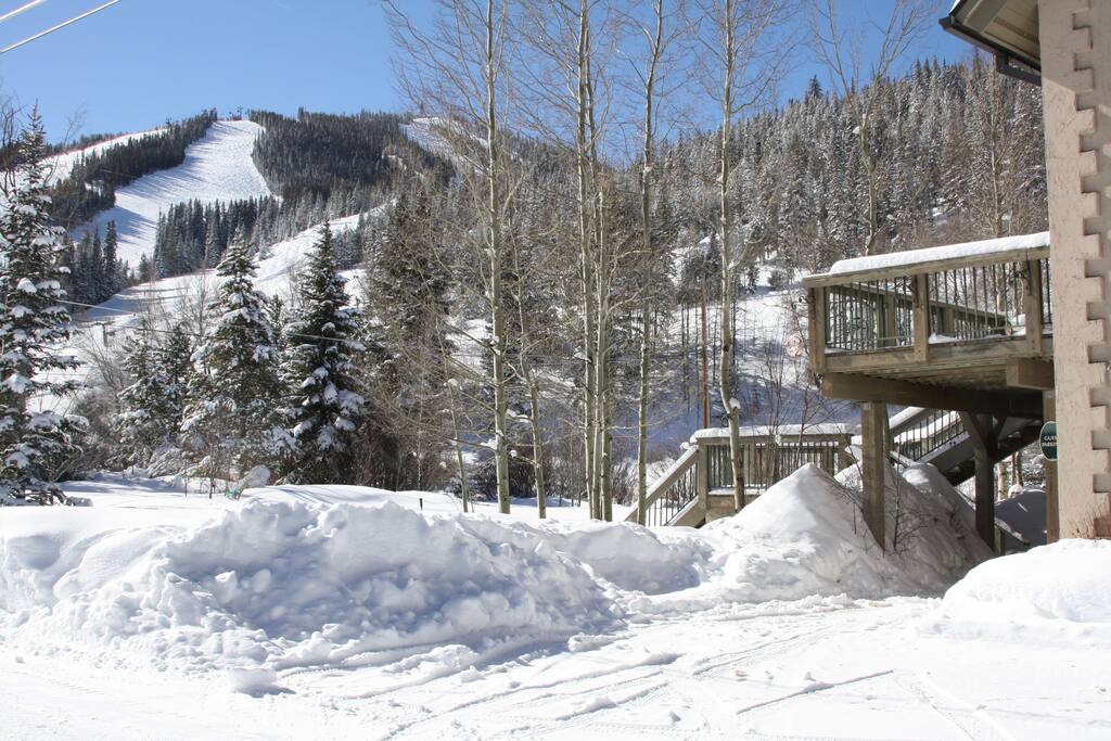 View from our Yard!
