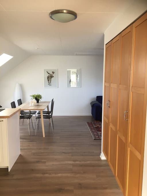Open plan kitchen and lounge