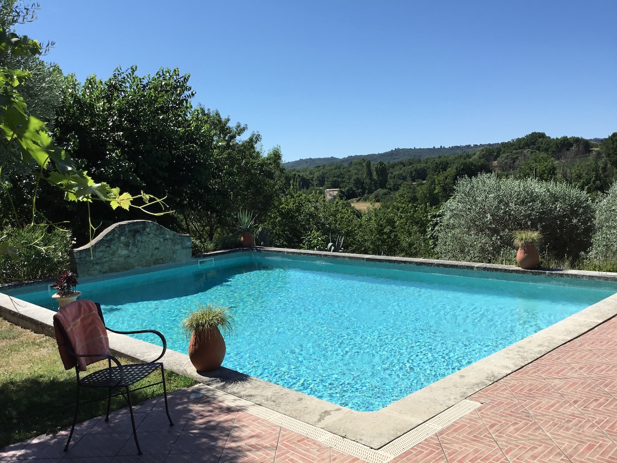 A serene swimming pool is surrounded by greenery, featuring clear blue water that reflects the sky. Potted plants and a chair positioned nearby create a relaxed atmosphere. The distant hills invite exploration and tranquility.