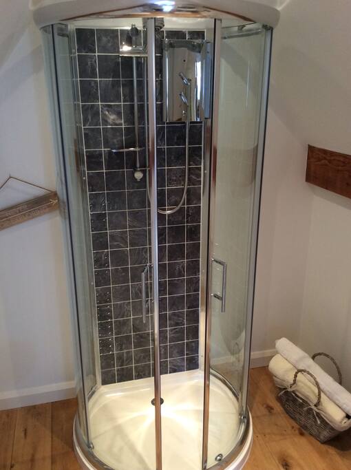Electric shower