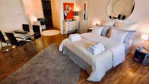 Cosy Flat 20mn by train to/from Basel