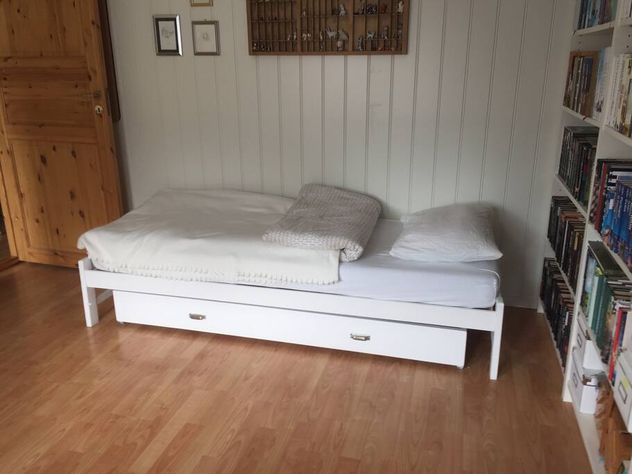 Private room with up to three extra beds (one single bed and two fold out beds).