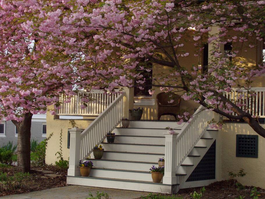 Spring on Columbia Street