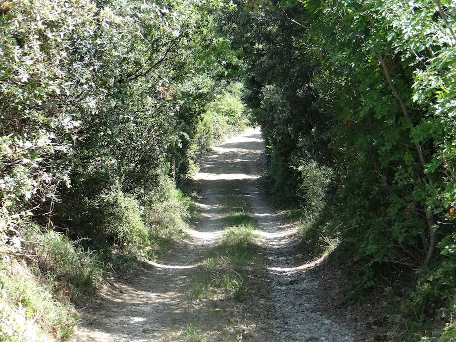 The Property Access