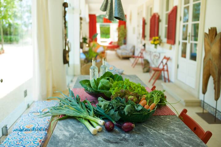 Villa within beautiful private property gallery image 3