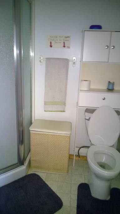 Shared bathrm & shower for the 3 rooms on 2nd floor.