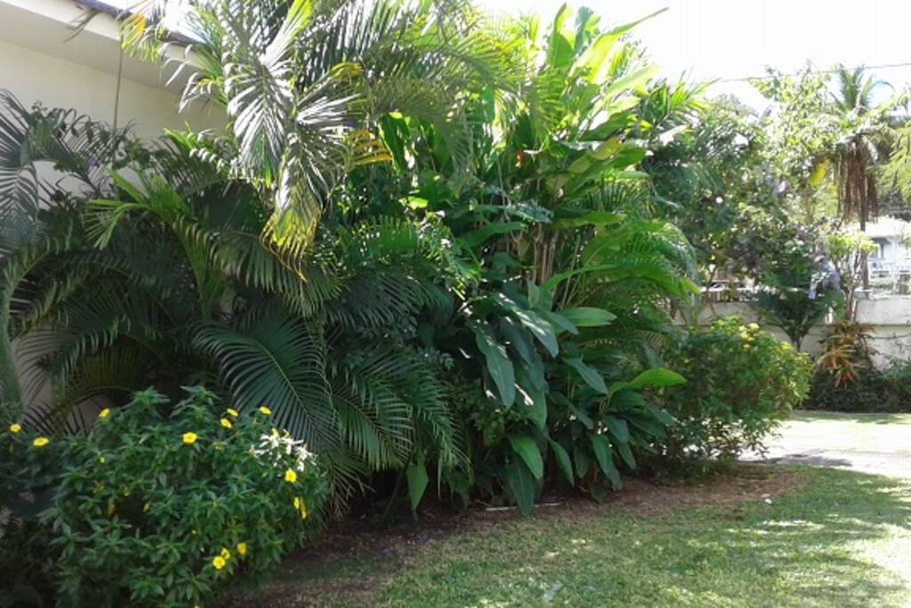 View from Patio