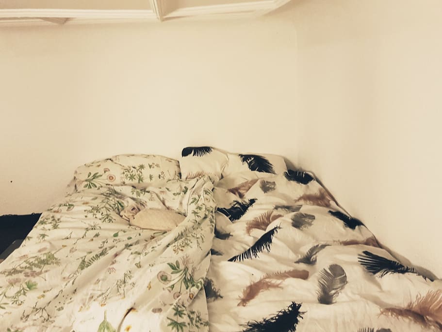 your Bed :)