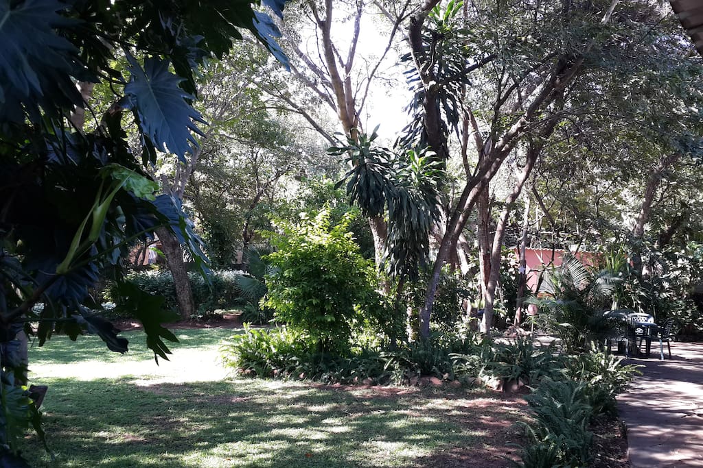 View of the Garden