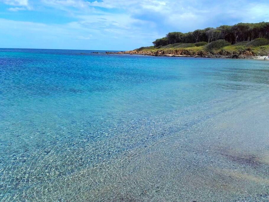 Spiaggia delle conchiglie