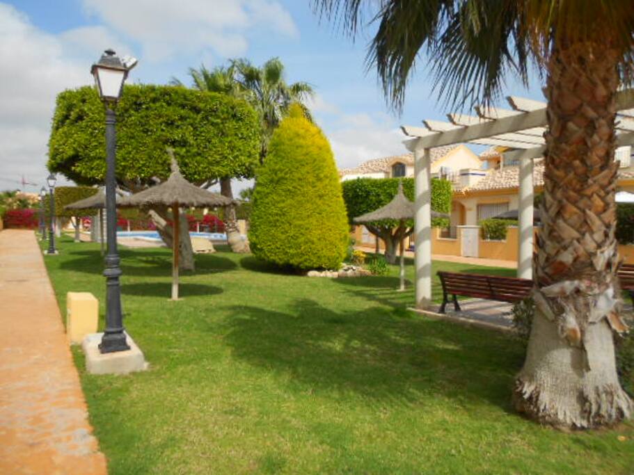 Yard with pool