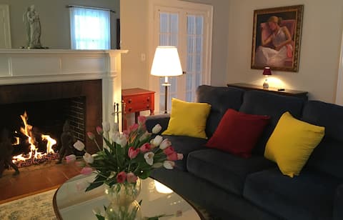 Gracious village suite.