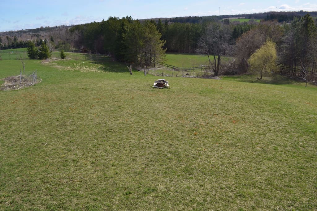Backyard (with Fire Pit) on 2 Acres of Land