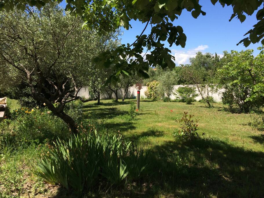 le jardin, l'environnement