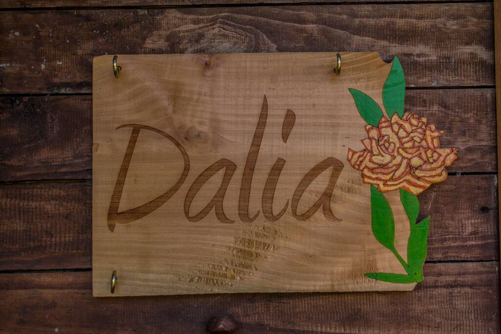 CABAÑA DALIA