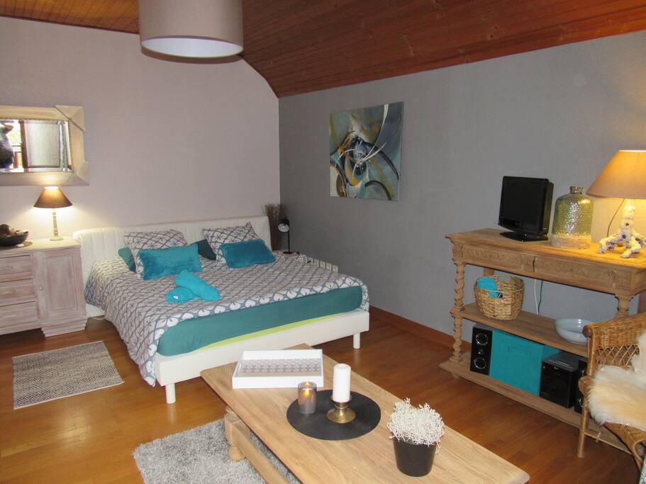belle chambre avec coin télé