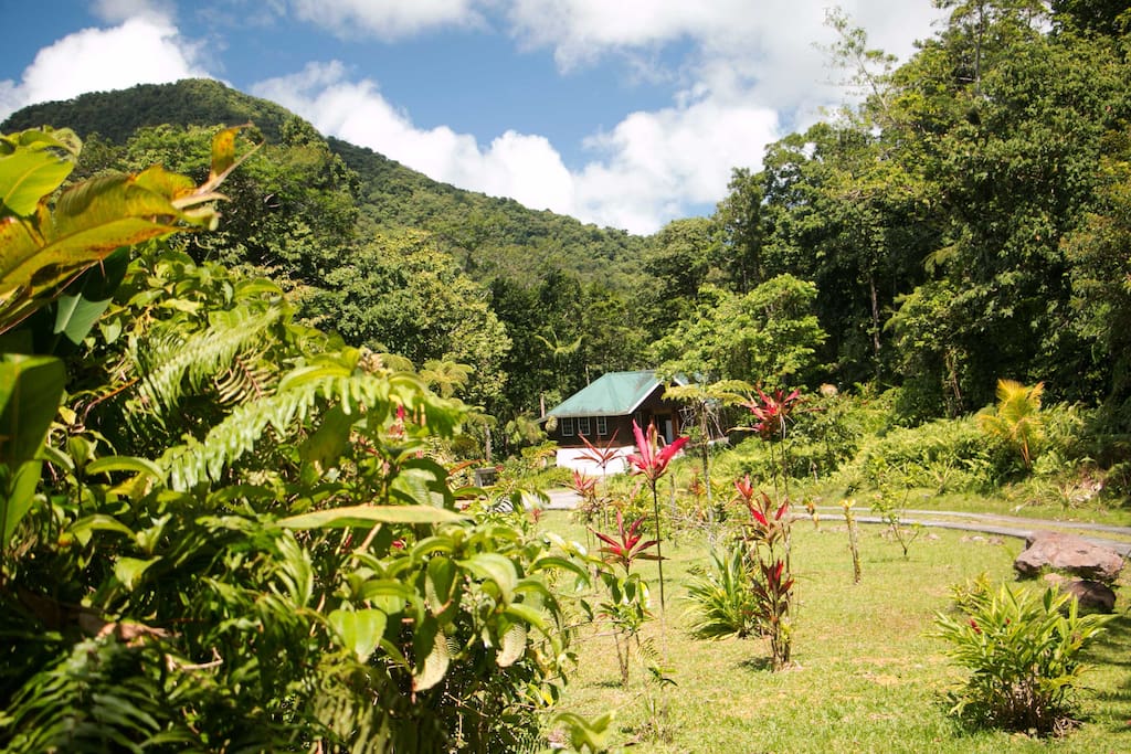 Nestled in the foothills of Morne Trois Pitons National Park, Jacko Cottage sits peacefully between mountains, river, forest, and beautifully landscaped gardens