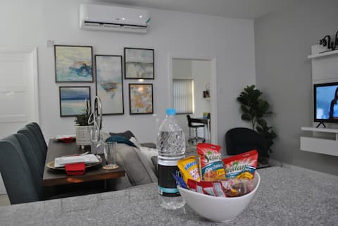 A New Gem in Kingston, 1 BR Modern Luxury Apt
