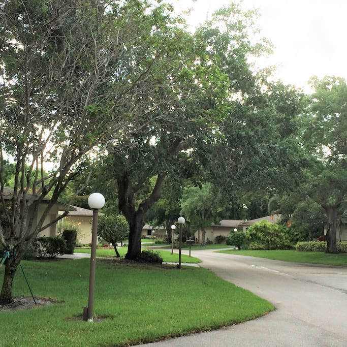 Lush tropical landscaping
