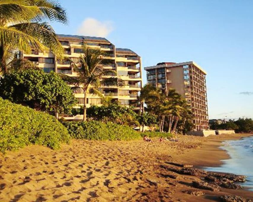 Beautiful Maui!