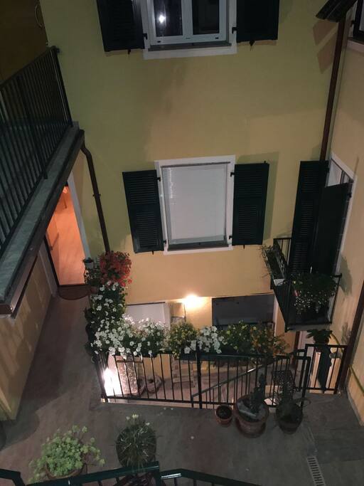 the house