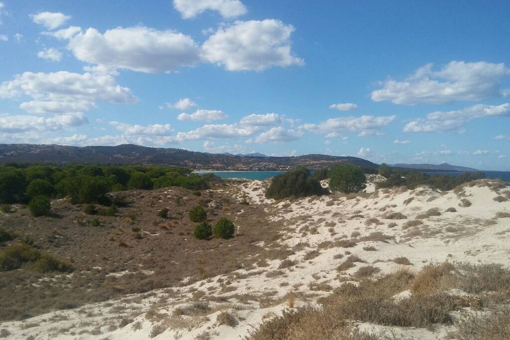 Le dune di Capo Comino