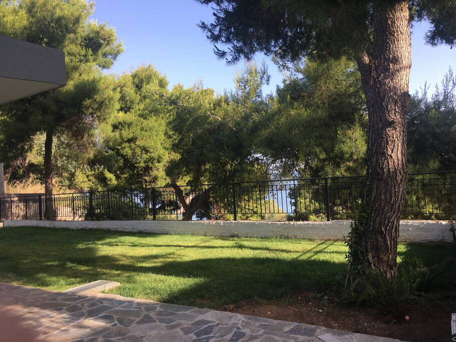 Garden with direct sea view