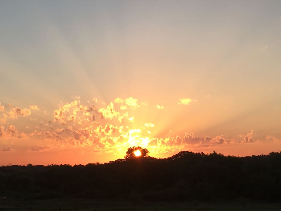 Sunrise over the front pasture.