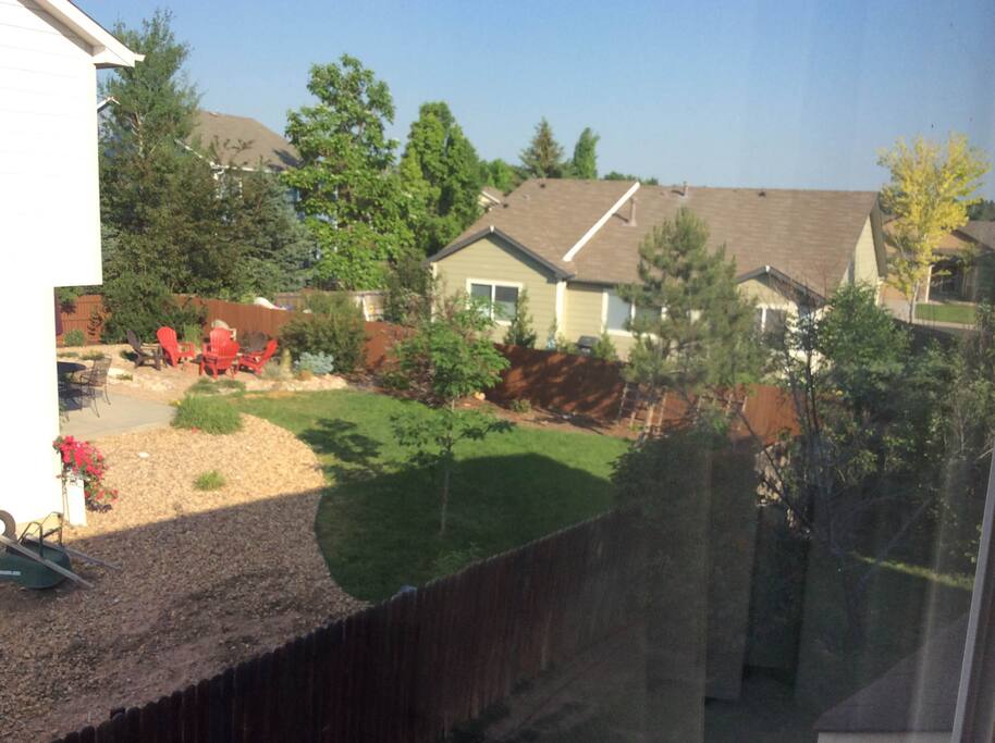View from Room