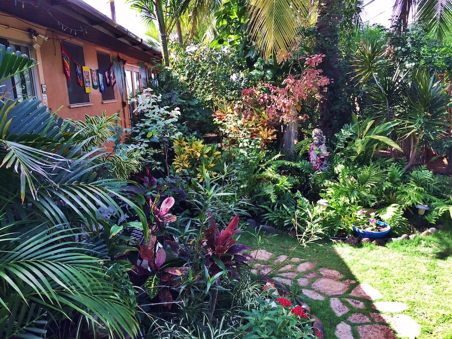 Ocean Room Garden