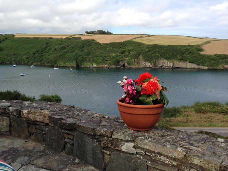 View from outdoor sitting area.