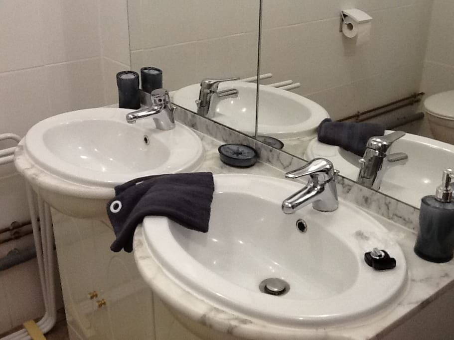 2 LAVABOS ET UNE DOUCHE ET UN WC DANS LA SALLE D'EAU