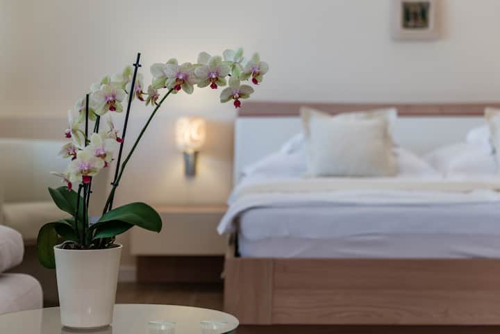 Suite de lujo en planta baja