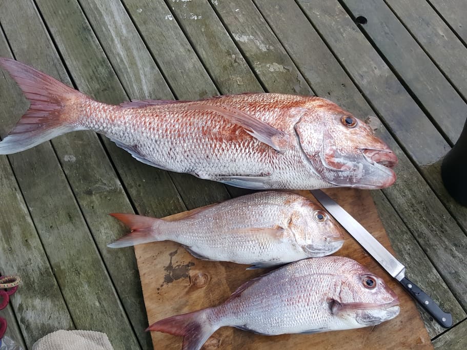 Caught Locally