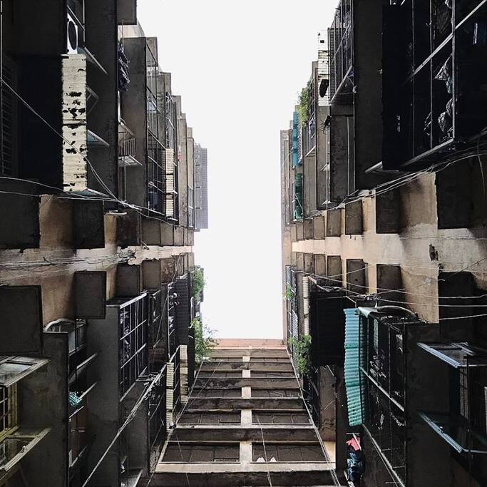 THE BRUTALIST