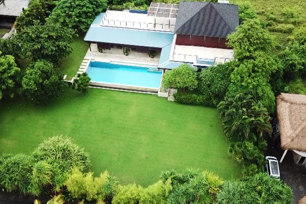 Bird Eye View