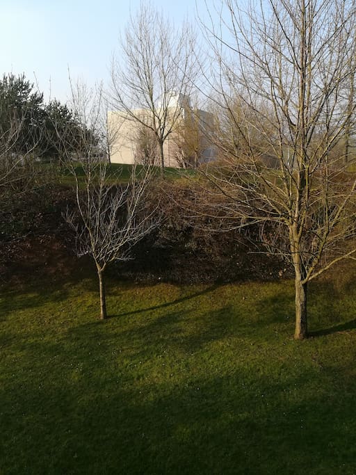 Vue du balcon
