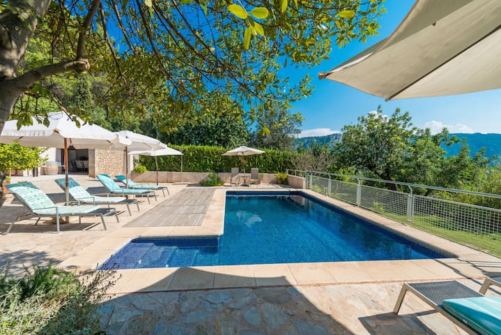 Finca Coster gallery image 4