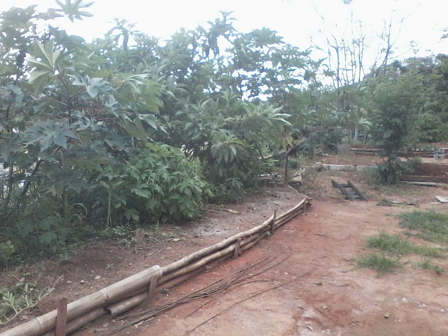 Quintal
