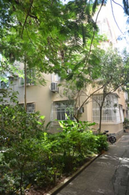 Jardim interno do edifício