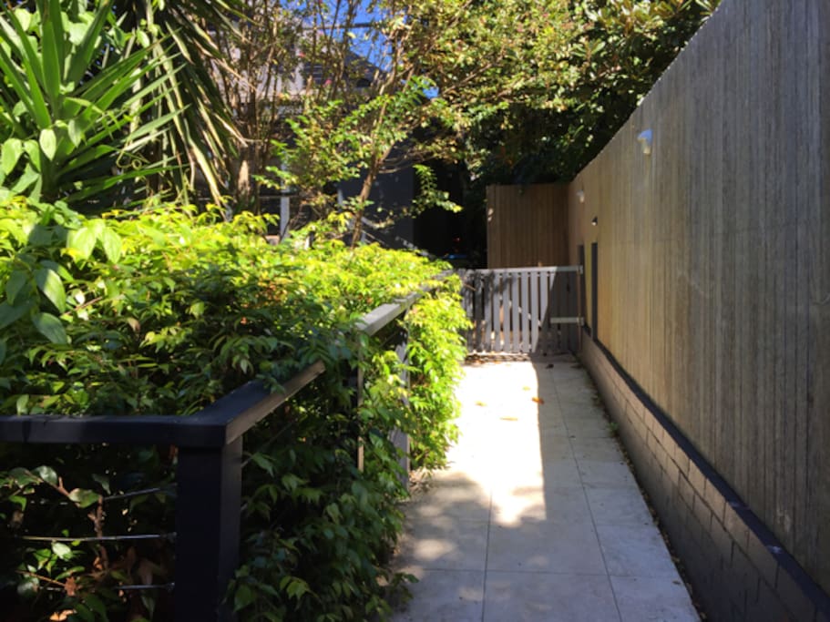 Pathway Entrance to Studio