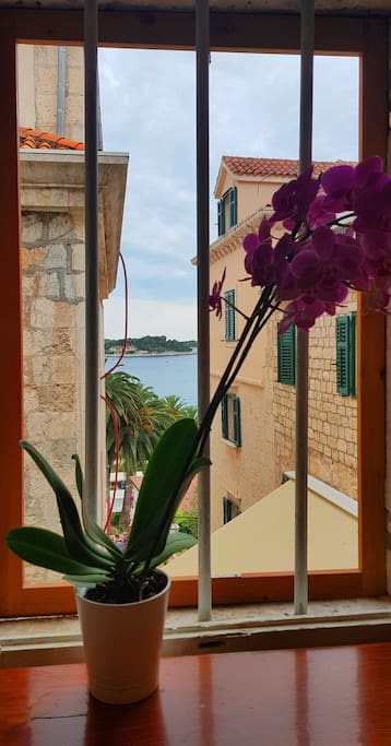 View from the room
