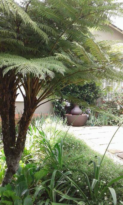 View of water feature