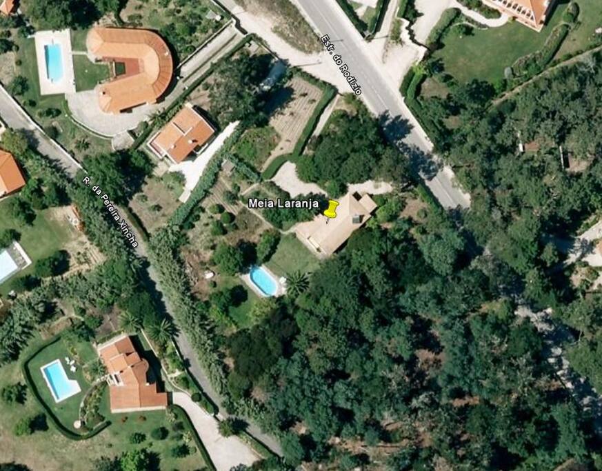 Google view