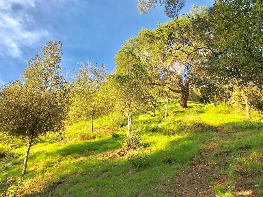 Actual view from property