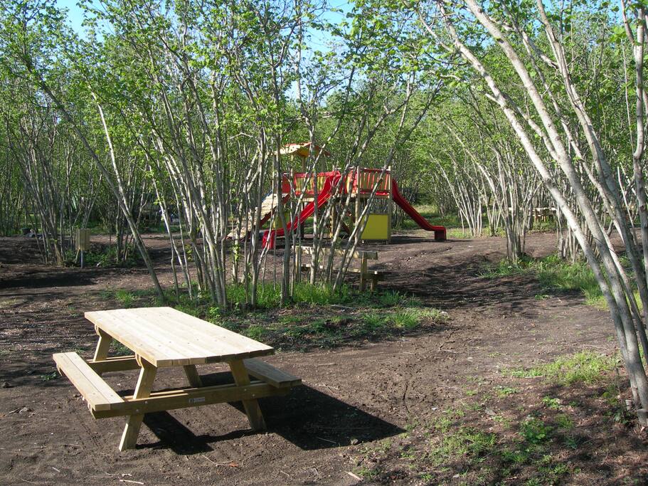 Baby Park