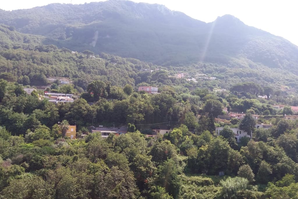 veduta dall'appartamento